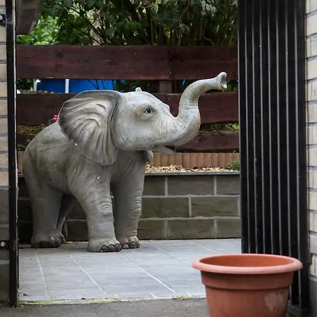 Les Elephants * Liège